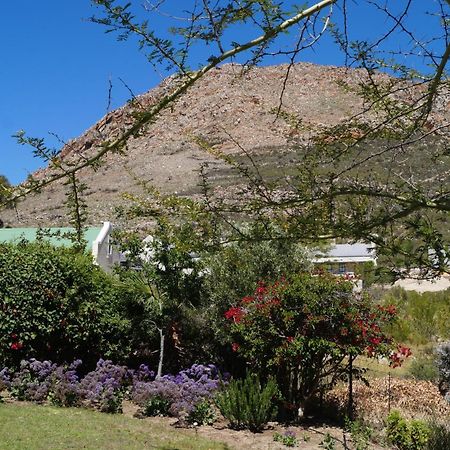 Villa White Lily Montagu Esterno foto
