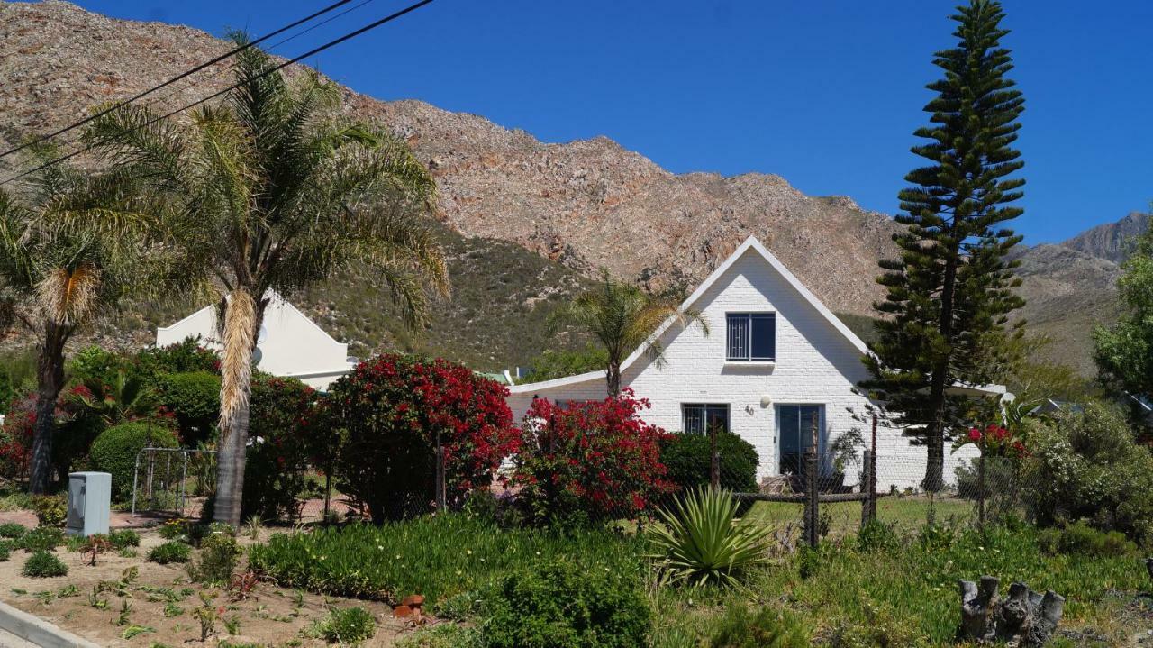 Villa White Lily Montagu Esterno foto